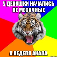 у девушки начались не месячные а неделя анала