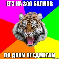 ЕГЭ на 300 баллов по двум предметам