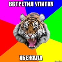 встретил улитку убежала