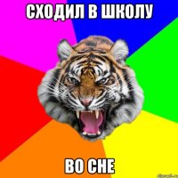 Сходил в школу во сне