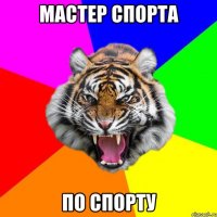 мастер спорта по спорту