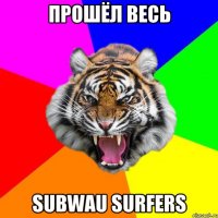 прошёл весь subwau surfers