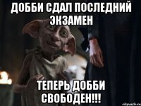 ДОББИ СДАЛ ПОСЛЕДНИЙ ЭКЗАМЕН ТЕПЕРЬ ДОББИ СВОБОДЕН!!!