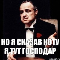 но я сказав коту я тут господар