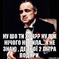 ну шо ти хоч?? ну я ж нічого не пила... я не знаю , де твої 2 літра водяри.