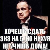 хочешь сдать экз на 5, но нихуя не учишь дома!