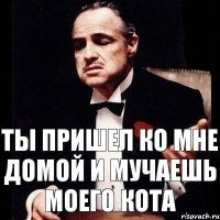 Ты пришел ко мне домой и мучаешь моего кота