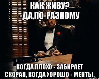 Как живу? -Да,по-разному Когда плохо - забирает скорая, когда хорошо - менты.