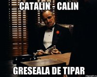 caTAlin - calin greseala de tipar