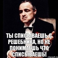 ТЫ СПИСЫВАЕШЬ С РЕШЕБНИКА, НО НЕ ПОНИМАЕШЬ ЧТО СПИСЫВАЕШЬ!