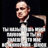 Ты называешь меня пауком, но ты не знаешь, что мое истинное имя - шнюк