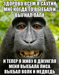 здорово всем я саутин мне когда то выебал и выгнал папа и тепер я живу в джунгля меня выебала лиса выебал волк и медведь