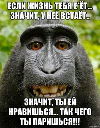 Если жизнь тебя е*ёт... Значит, у неё встаёт.. Значит, ты ей нравишься... Так чего ты паришься!!!