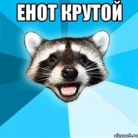 енот крутой 