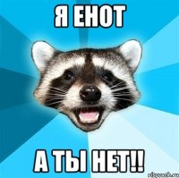 Я енот А ты нет!!