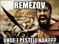 REMEZOV UNDE-I PESTELE NAH???