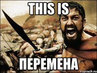 THIS IS ПЕРЕМЕНА