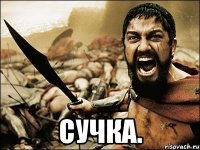  сучка.