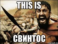 THIS IS Свинтос