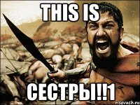 THIS IS CЕСТРЫ!!1