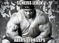 Scheiss Leben Aber gute Bizeps