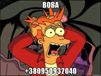 вова +380950932040