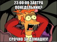 23:00:00 Завтра понедельник? Срочно за домашку!