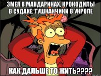 ЗМЕЯ В МАНДАРИНАХ, КРОКОДИЛЫ В СУДАКЕ, ТУШКАНЧИКИ В УКРОПЕ КАК ДАЛЬШЕ ТО ЖИТЬ????