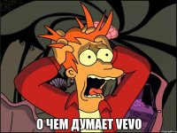  О ЧЕМ ДУМАЕТ VEVO