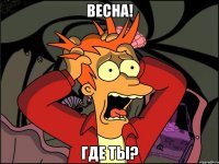 ВЕСНА! Где ты?