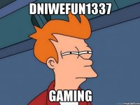 DNIWEFUN1337 GAMING