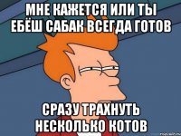 мне кажется или ты ебёш сабак всегда готов сразу трахнуть несколько котов