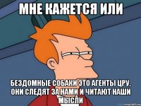 Мне кажется или бездомные собаки это агенты ЦРУ, они следят за нами и читают наши мысли