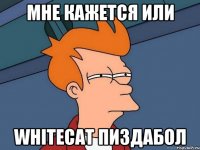 МНЕ КАЖЕТСЯ ИЛИ WhiteCat ПИЗДАБОЛ