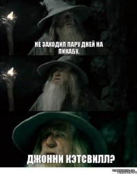 Не заходил пару дней на Пикабу.  Джонни Кэтсвилл?