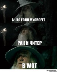 А что если Mycrofft Рак и Читер В WoT