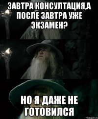 Завтра консултация,а после завтра уже экзамен? Но я даже не готовился