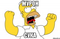 Мурон СУКА