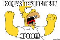 Когда я тебя встречу Урою!!!