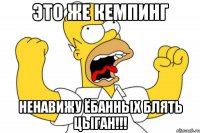 Это же кемпинг ненавижу ёбанных блять цыган!!!