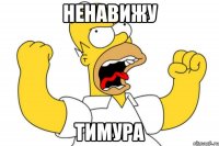 ненавижу тимура