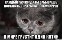 каждый раз, когда ты забываешь поставить php-fpm на json-wrapper в мире грустит один котик