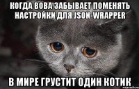 когда вова забывает поменять настройки для json-wrapper в мире грустит один котик