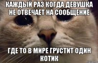 Каждый раз когда девушка не отвечает на сообщение где то в мире грустит один котик