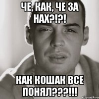 че, как, че за нах?!?! как кошак все понял???!!!