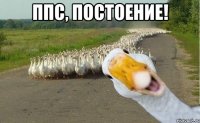 ППС, постоение! 