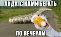 Айда, с нами бегать По вечерам