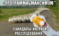 -программа "Максимум " -скандалы, интриги, расследования...