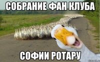 Собрание фан клуба Софии Ротару