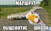 Маршрут Общежитие → Школа